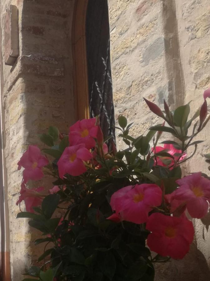 B&B Porta Girone Civitanova Alta Exterior photo